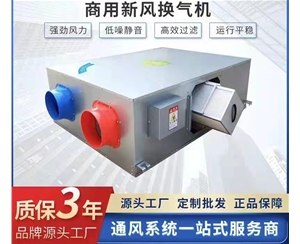 商用新風(fēng)換氣機