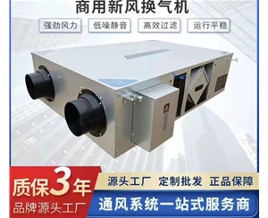 商用新風(fēng)換氣機